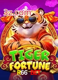 R66 Bet